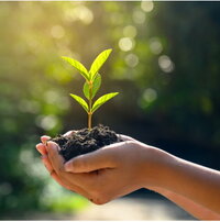 The translation of "Pflanze in Hand Kachel" to French is "Plante dans la main, carreau." 

However, if this phrase is intended to convey a specific meaning or context, please provide more details for a more accurate translation.