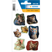 Aufkleber mit verschiedenen Katzenmotiven, darunter sitzende und spielende Kätzchen in unterschiedlichen Posen und Farben.