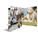Ein Ordner mit verschiedenen Hundefotos, darunter Welpen und verschiedene Rassen, die in einer ansprechenden Anordnung präsentiert werden.