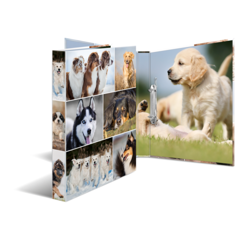 Ein Ordner mit verschiedenen Hundefotos, darunter Welpen und verschiedene Rassen, die in einer ansprechenden Anordnung präsentiert werden.