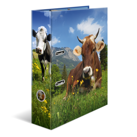 Un dossier avec une image de deux vaches dans un pré, entourées de fleurs et avec des montagnes en arrière-plan.