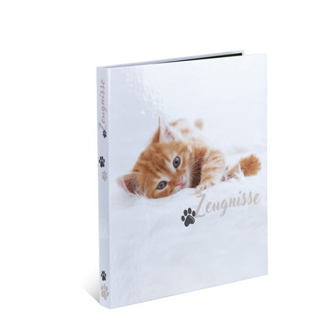 Un livre photo avec une image d'un chat orange en train de jouer sur la couverture, intitulé "Zengnisse".