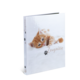 Un livre photo avec une image d'un chat orange en train de jouer sur la couverture, intitulé "Zengnisse".