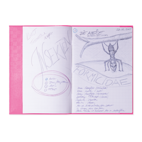 Notizbuchseite mit handschriftlichen Notizen über Ameisen, einschließlich einer Skizze einer Ameise und verschiedenen Punkten zu deren Eigenschaften.