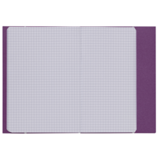 Ein offenes kariertes Notizbuch mit lila Umschlag, das leere, quadratische Kästchen auf beiden Seiten zeigt.