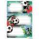 Trois cartes de football avec des joueurs en action, montrant des buts et de l'espace pour des notes. Éléments graphiques en rouge et vert.